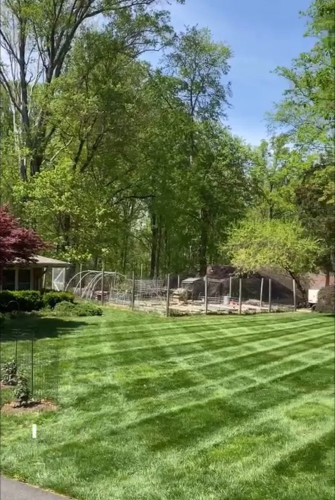 Custom outdoor landscaping in Beltsville, MD by Actaeon