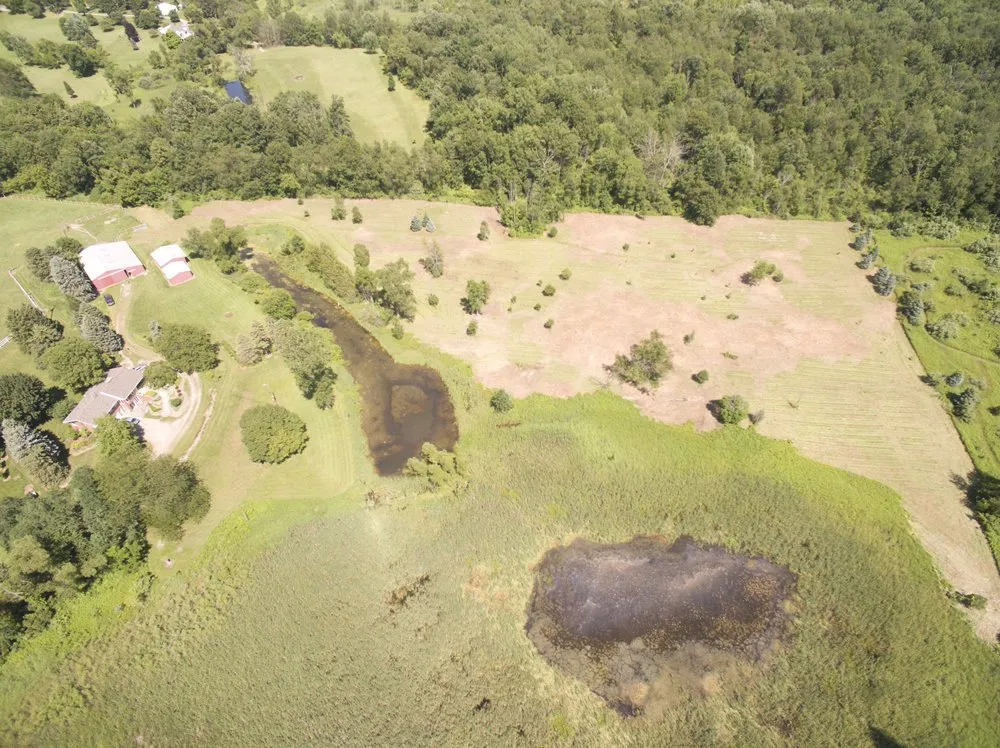 Top-rated lawn care service in Grand Ledge, MI by ACTC Services