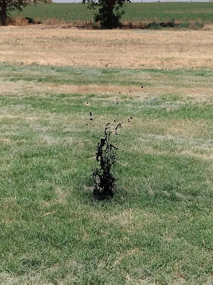 Trusted yard cleanup service in Midland, TX by Action Aeration Wastewater Management