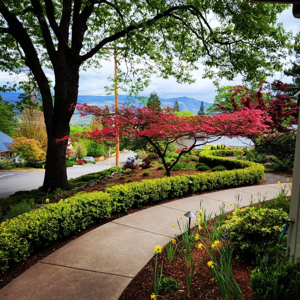 Expert residential landscaping for year-round maintenance across Talent, OR - Action Irrigation