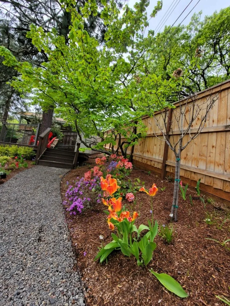 Expert yard maintenance in Talent, OR by Action Irrigation