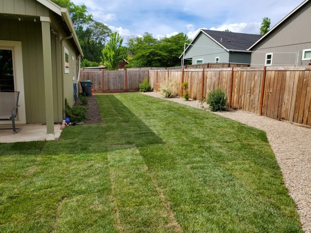 Reliable yard cleanup service near you in Talent, OR by Action Irrigation