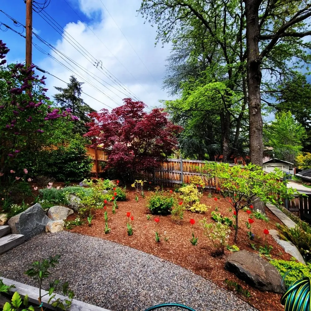 Affordable lawn care service for outdoor upgrades across Talent, OR - Action Irrigation