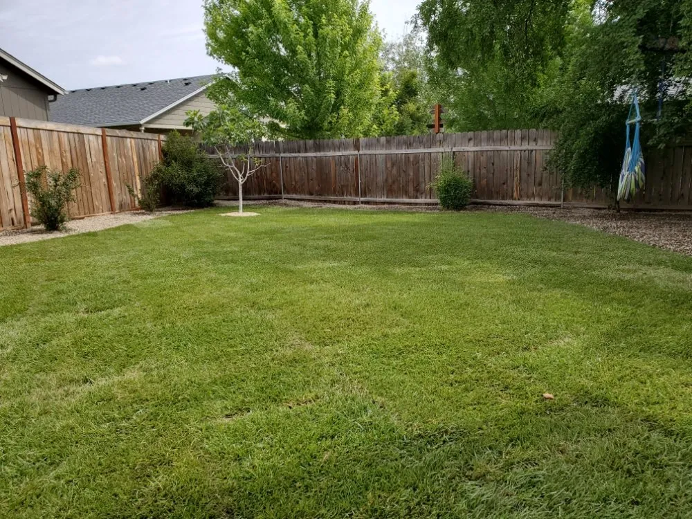 Reliable outdoor landscaping experts serving Talent, OR - Action Irrigation