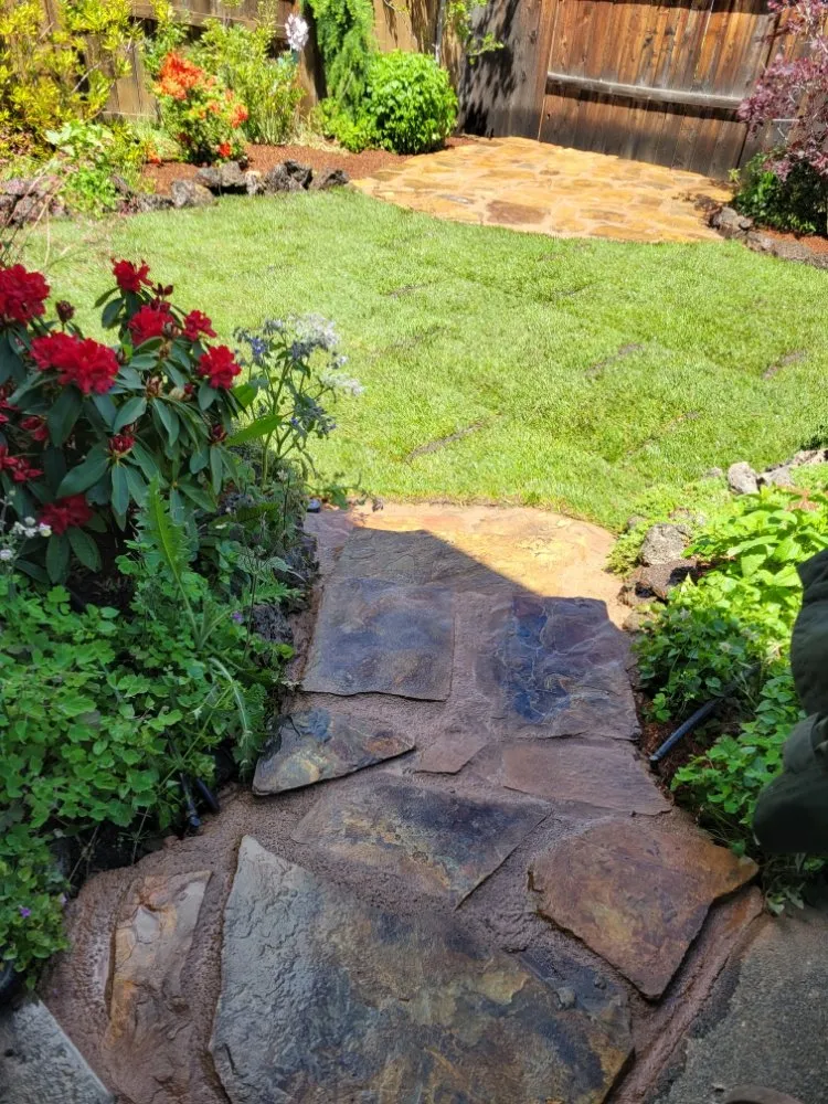 Trusted lawn care service experts serving Talent, OR - Action Irrigation