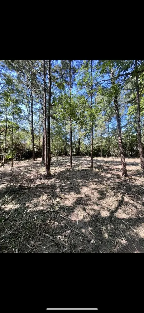 Custom outdoor landscaping for homes in Houston, TX by Action Land Management