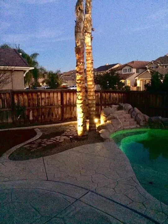 Professional lawn care service in Menifee, CA - Action Landscape Contractor