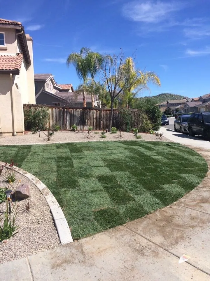 Custom yard cleanup service for beautiful yards in Menifee, CA by Action Landscape Contractor