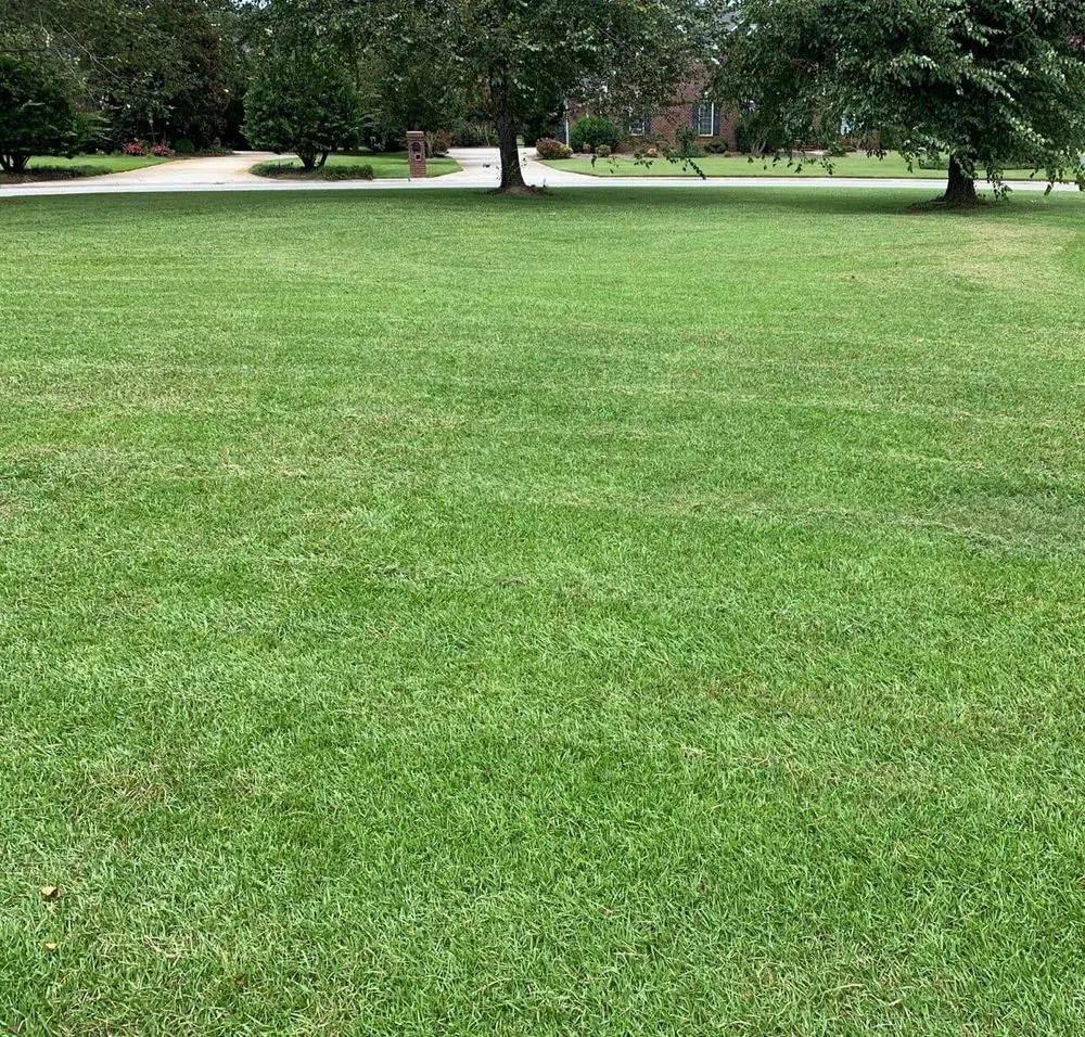 Custom yard cleanup service for outdoor upgrades across Hartsville, SC - Action Landscaping