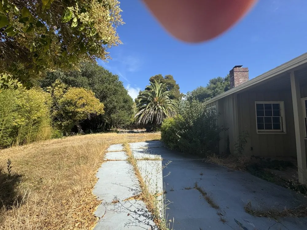 Local landscape design in San Jose, CA by Action Landscaping