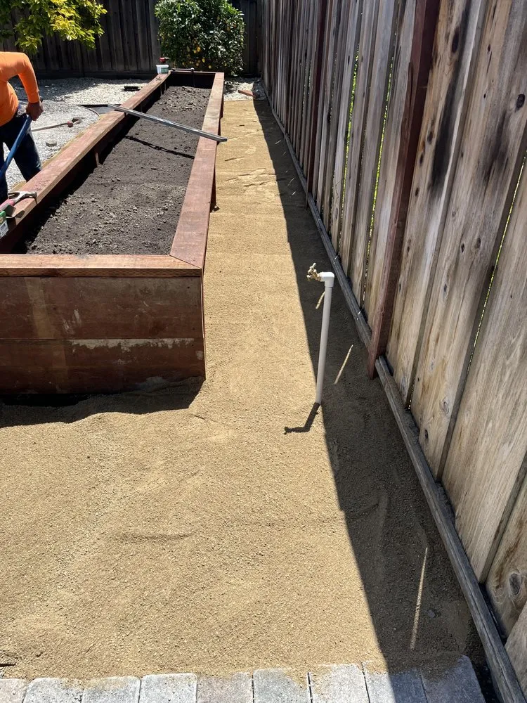 Custom yard maintenance in San Jose, CA by Action Landscaping