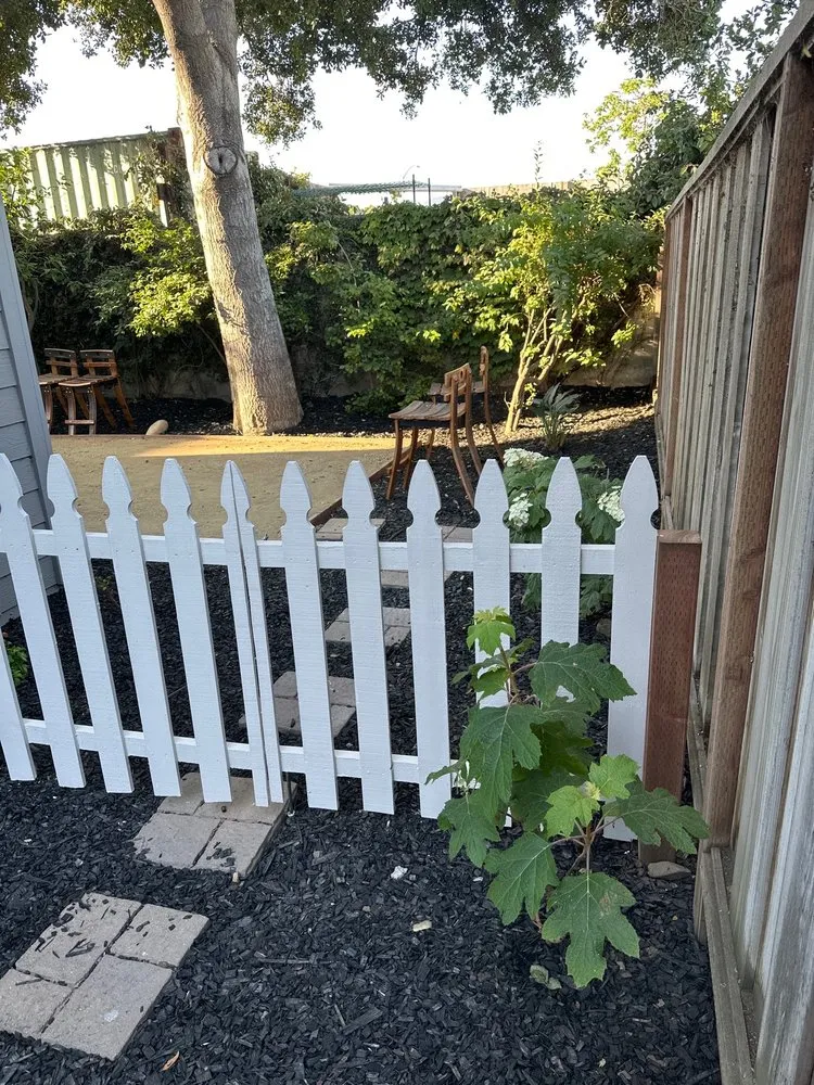 Local lawn mowing service experts serving San Jose, CA - Action Landscaping