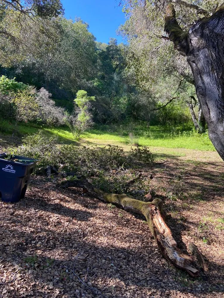 Top-rated outdoor landscaping in San Jose, CA - Action Landscaping