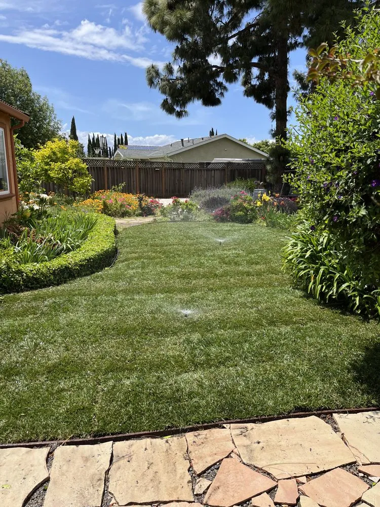 Professional yard cleanup service in San Jose, CA by Action Landscaping