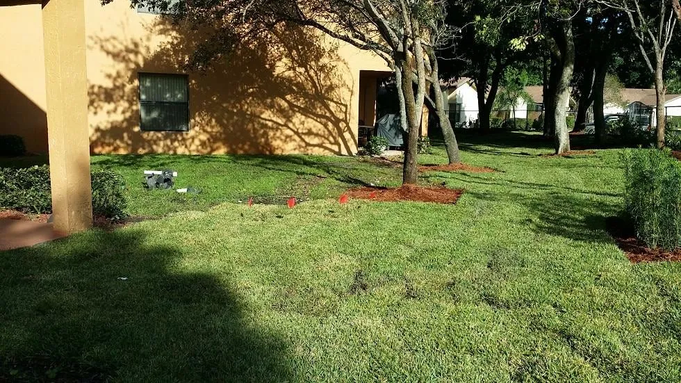 Reliable yard maintenance experts serving Miami, FL - Action Landscaping Service