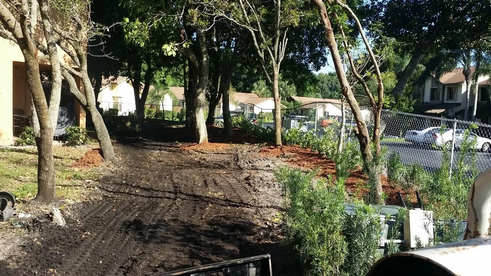 Affordable yard cleanup service with custom design across Miami, FL - Action Landscaping Service