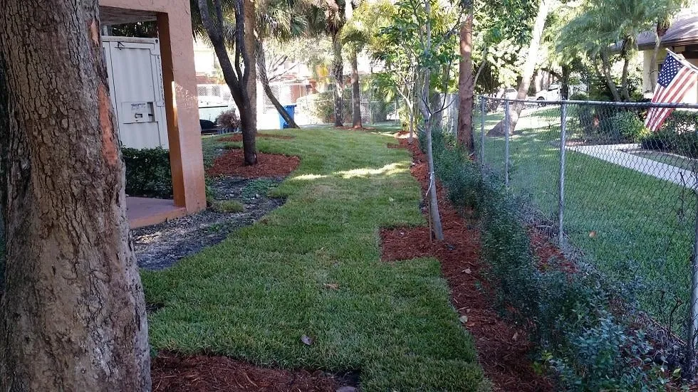 Trusted yard maintenance in Miami, FL by Action Landscaping Service