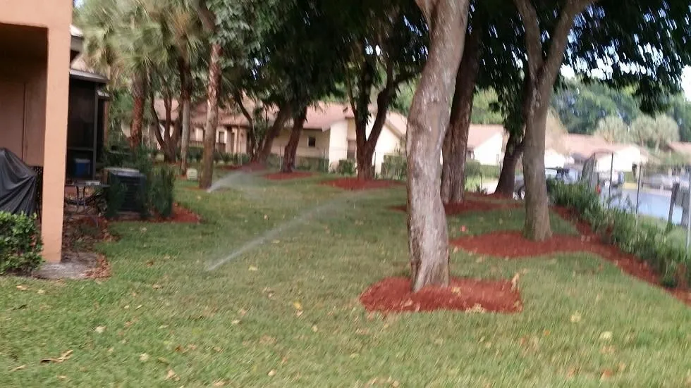 Custom landscape design for outdoor upgrades in Miami, FL by Action Landscaping Service