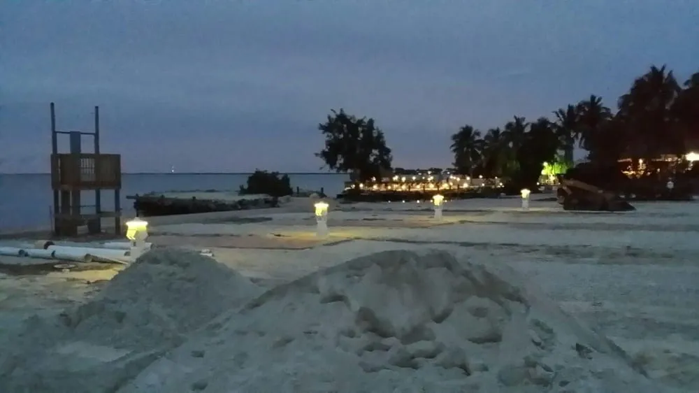 Local landscaping services for beautiful yards across Miami, FL - Action Landscaping Service