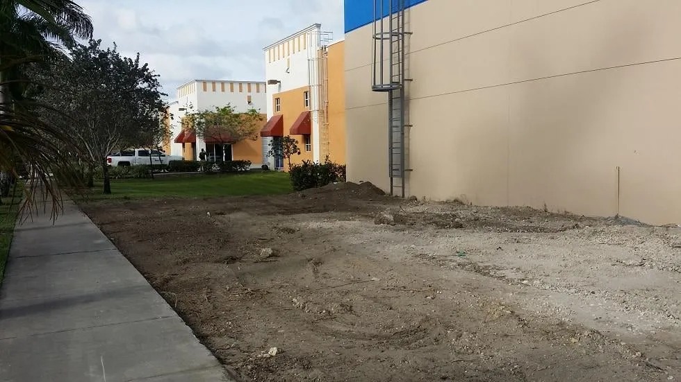 Custom landscape design in Miami, FL by Action Landscaping Service