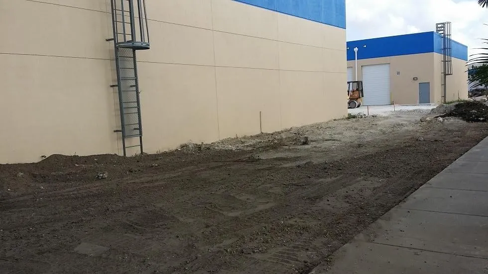 Top-rated landscape installation in Miami, FL - Action Landscaping Service