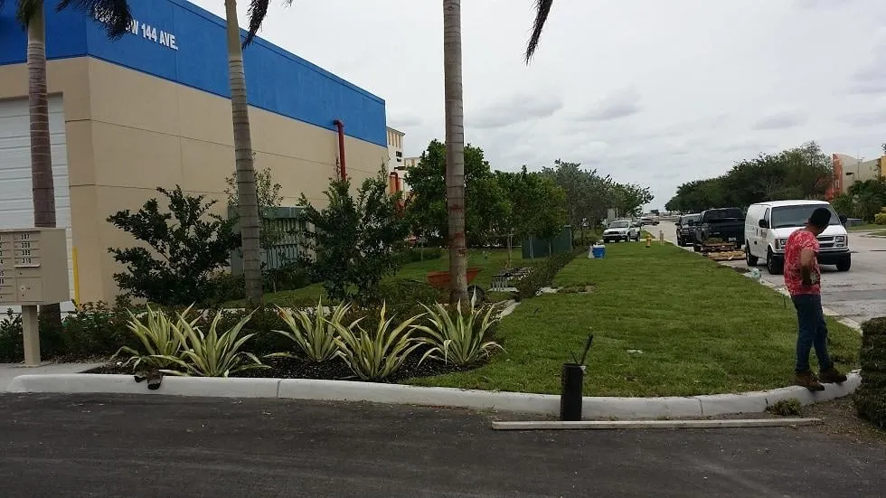 Custom outdoor landscaping experts serving Miami, FL - Action Landscaping Service