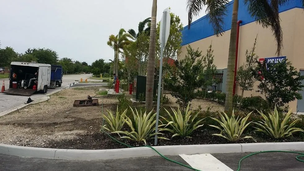 Expert landscape design in Miami, FL by Action Landscaping Service