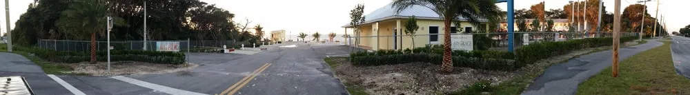 Custom yard maintenance in Miami, FL by Action Landscaping Service