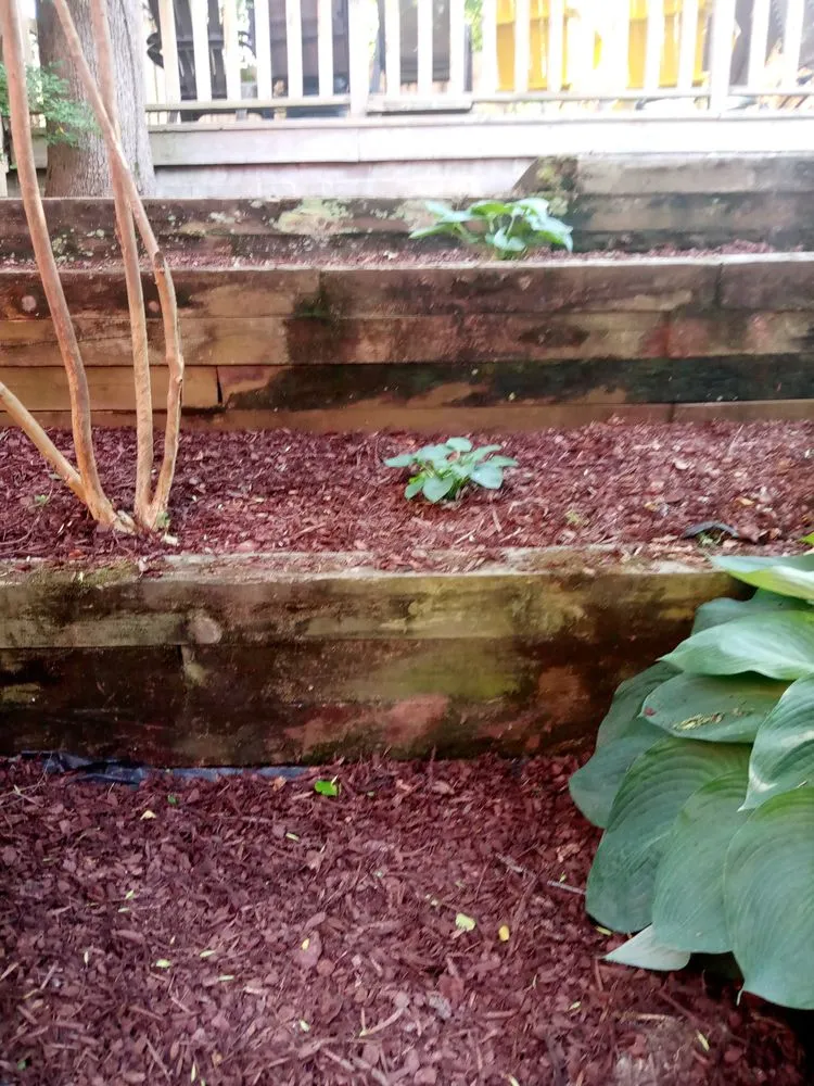 Reliable yard maintenance in Jonesboro, AR by Action Lawn Care And Landscaping