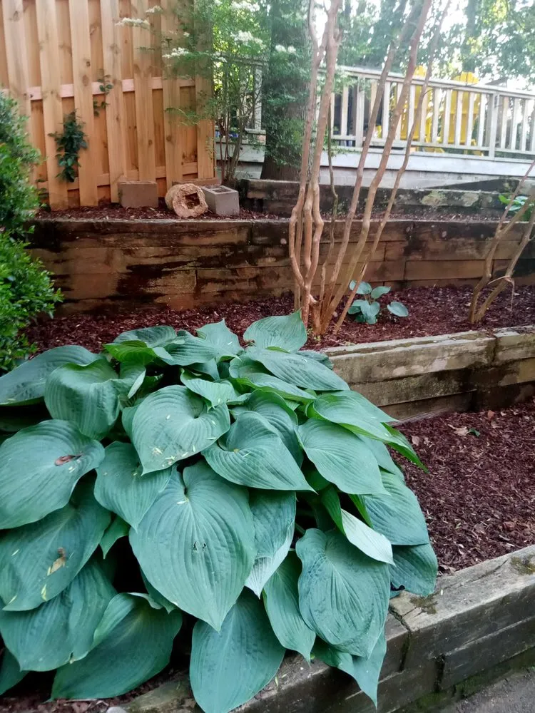 Expert yard maintenance for outdoor upgrades across Jonesboro, AR - Action Lawn Care And Landscaping