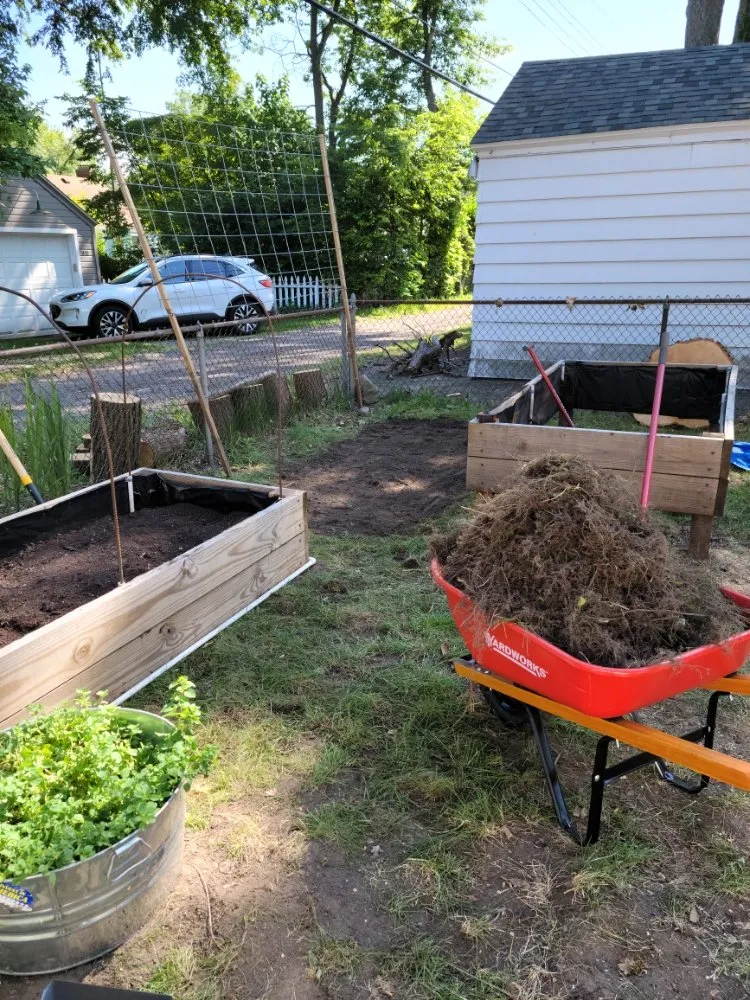 Reliable residential landscaping in South Bend, IN - Action Lawn Care