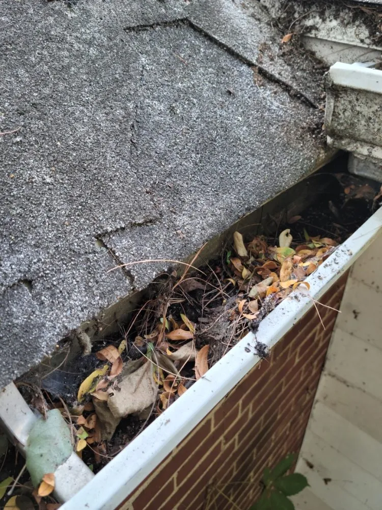 Expert yard cleanup service in South Bend, IN by Action Lawn Care