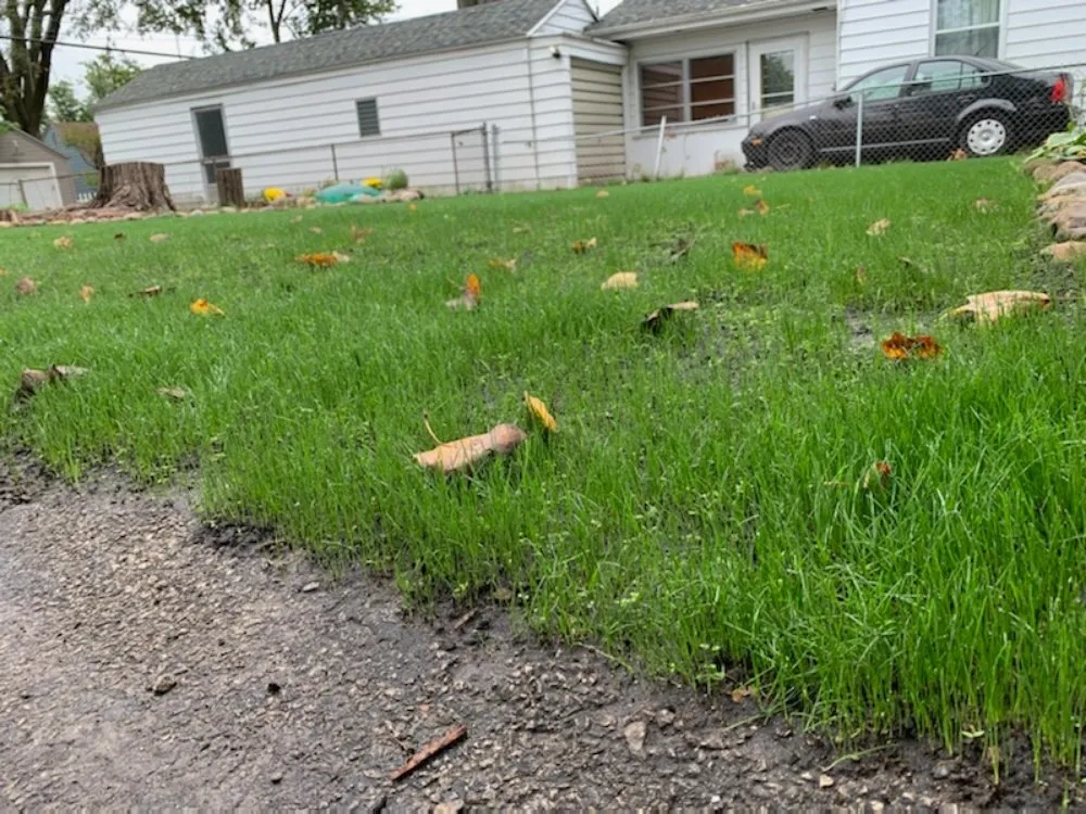 Professional outdoor landscaping in South Bend, IN - Action Lawn Care