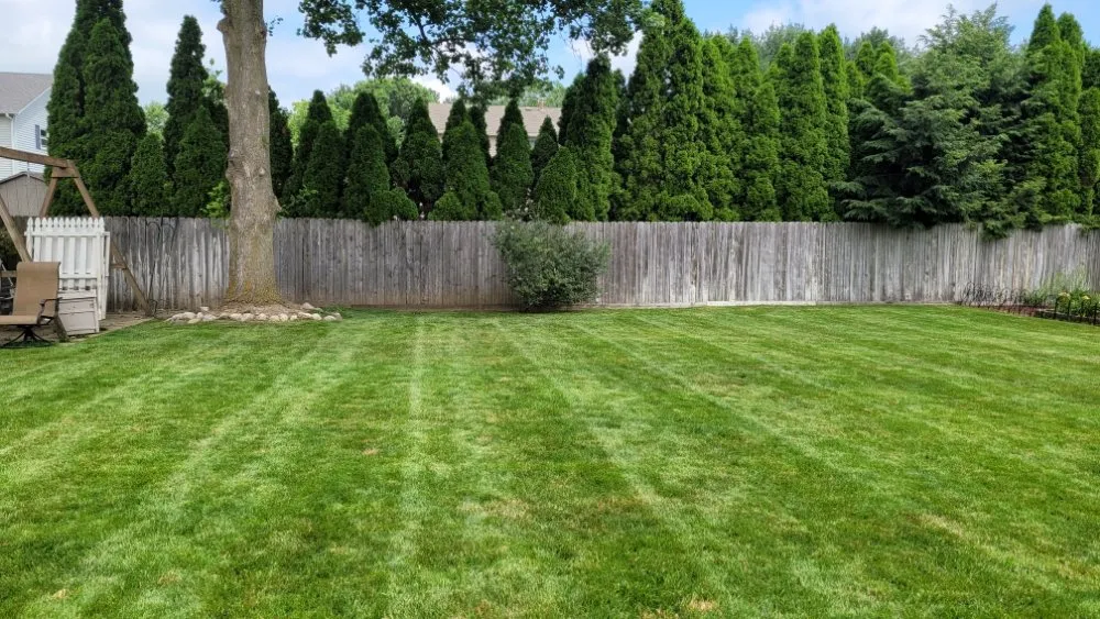Expert residential landscaping with custom design in South Bend, IN by Action Lawn Care