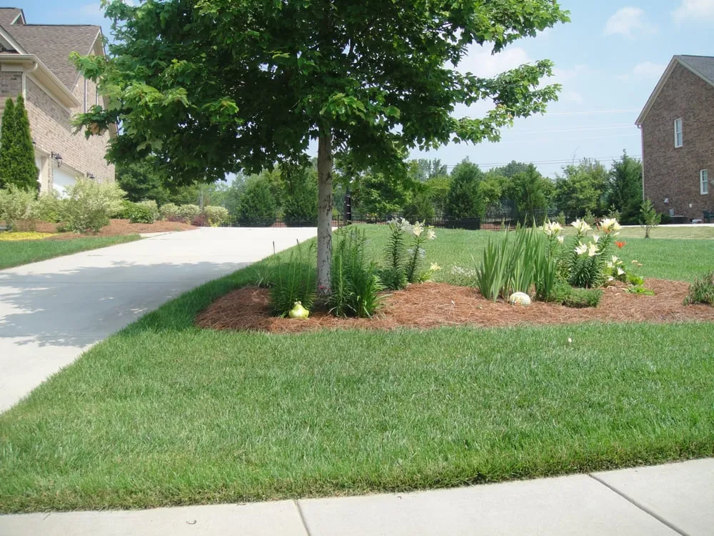 Local lawn mowing service for residential properties across Waxhaw, NC - Action Lawn Care