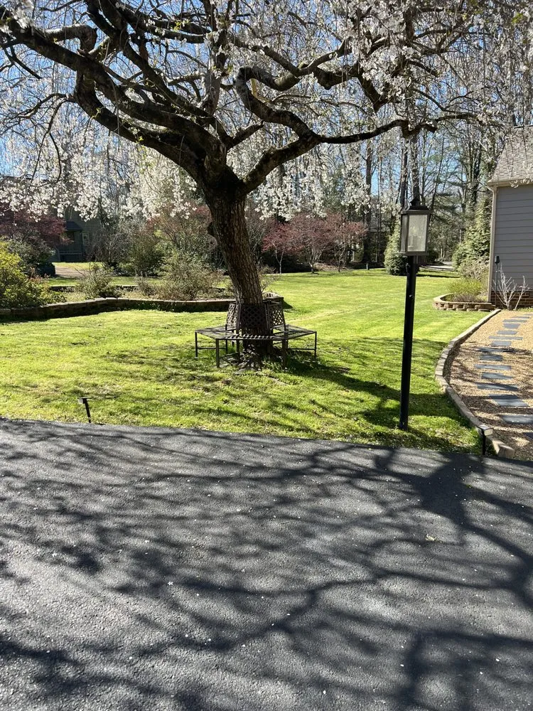 Top-rated residential landscaping for outdoor upgrades across Midlothian, VA - Action Lawn