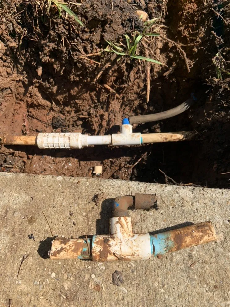 Top-rated landscape installation with custom design in Crawfordville, FL by Action Lighting Services