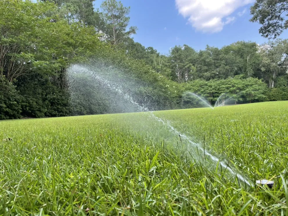 Top-rated yard maintenance experts serving Crawfordville, FL - Action Lighting Services