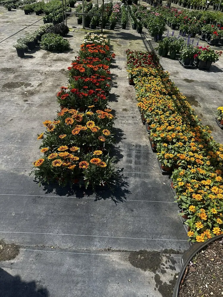 Professional landscape installation experts serving Miami, FL - Action Sod & Landscape Gardens