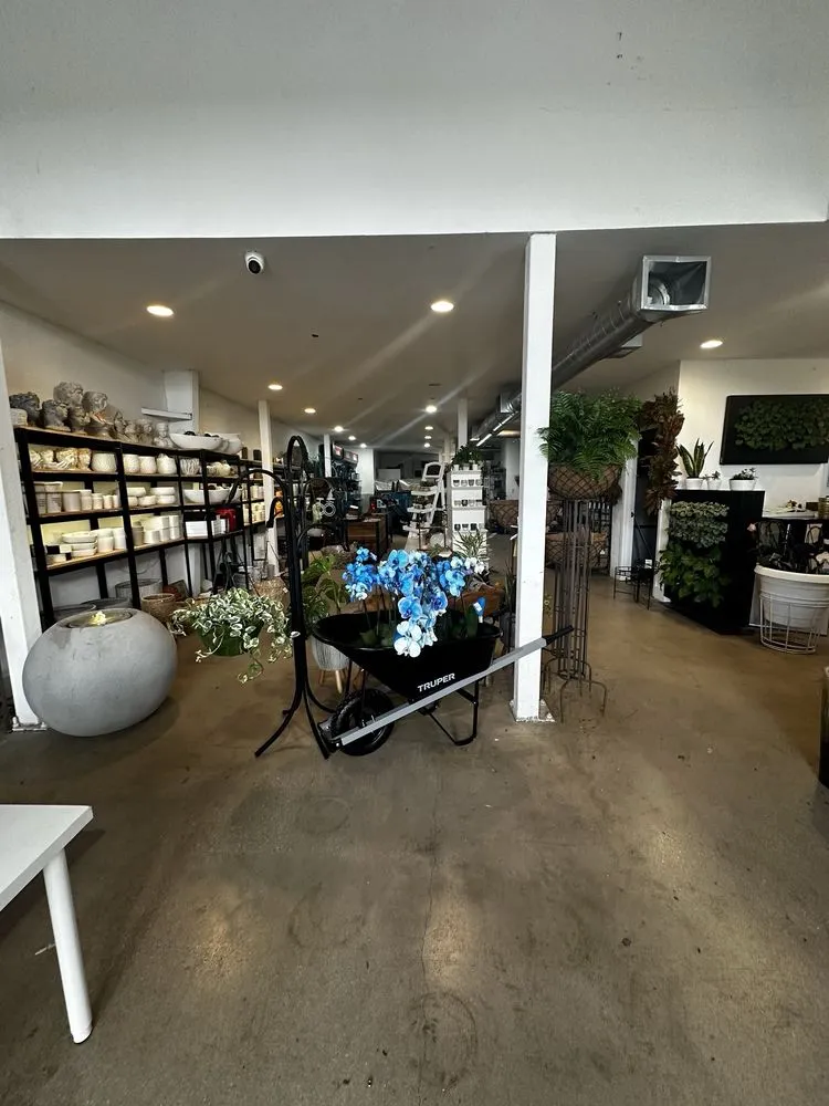 Affordable yard cleanup service experts serving Miami, FL - Action Sod & Landscape Gardens