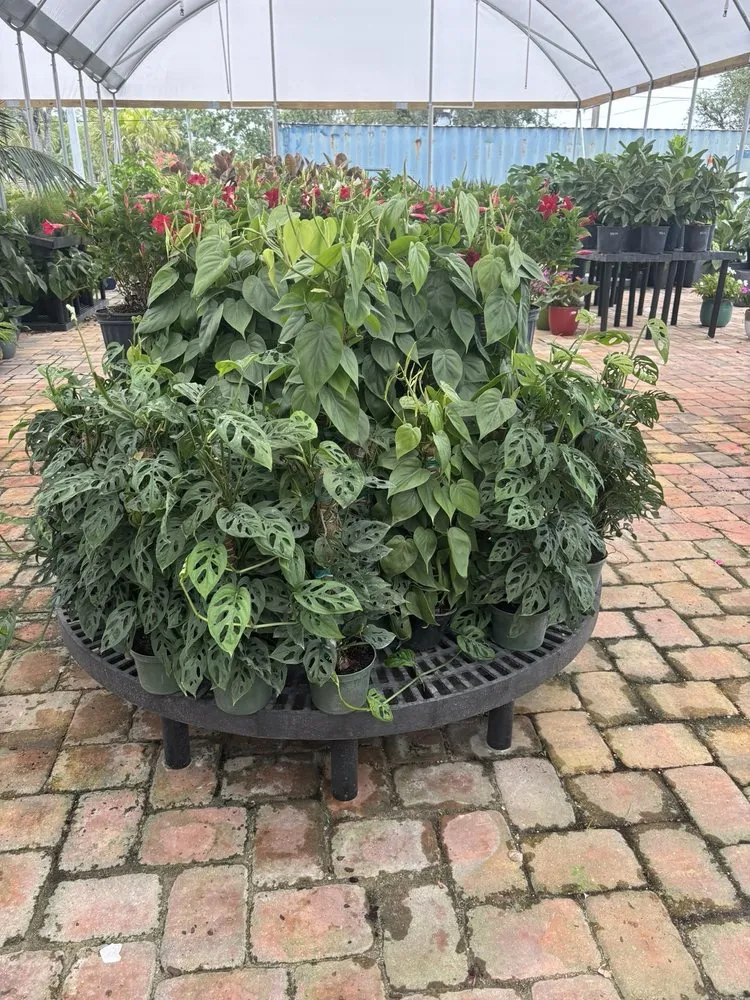 Affordable outdoor landscaping for beautiful yards in Miami, FL by Action Sod & Landscape Gardens