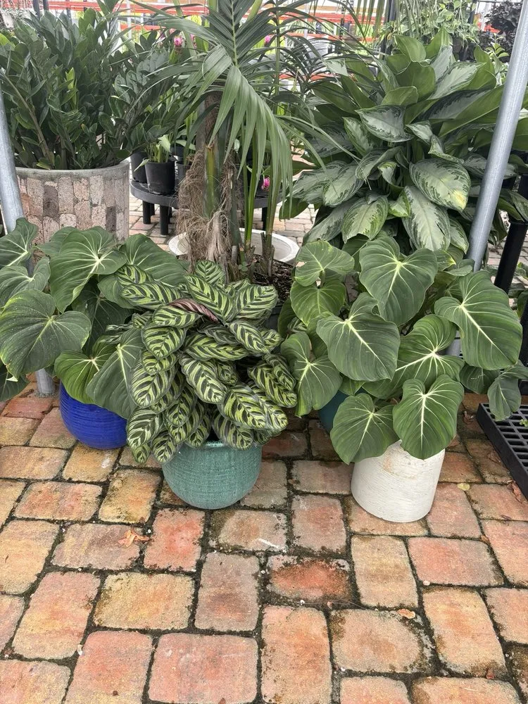 Professional garden landscaping in Miami, FL - Action Sod & Landscape Gardens