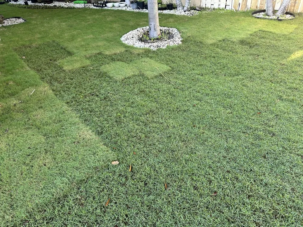 Reliable residential landscaping for outdoor upgrades across Miami, FL - Action Sod & Landscape Gardens