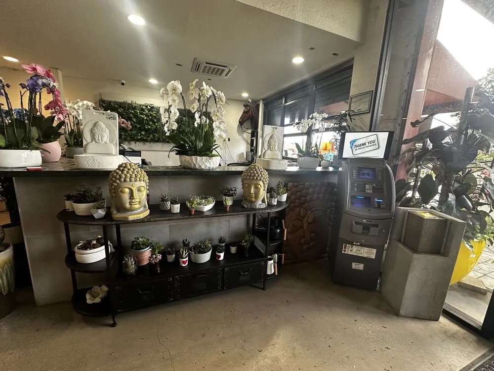 Local yard maintenance in Miami, FL - Action Sod & Landscape Gardens