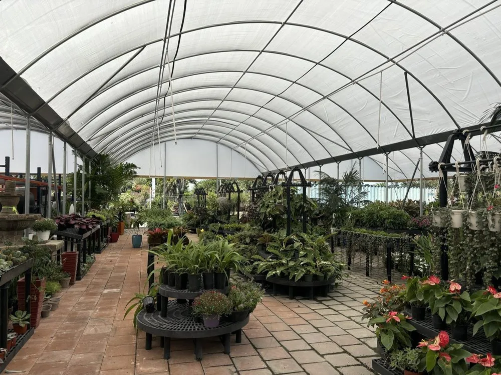 Expert outdoor landscaping for beautiful yards across Miami, FL - Action Sod & Landscape Gardens