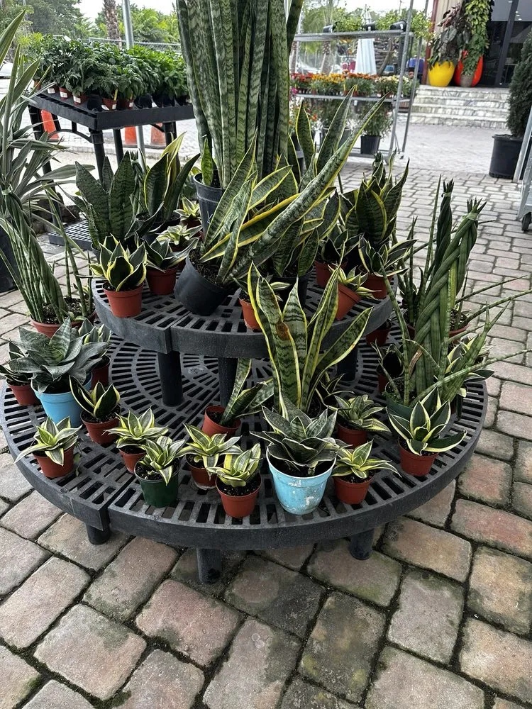 Expert landscape design in Miami, FL - Action Sod & Landscape Gardens