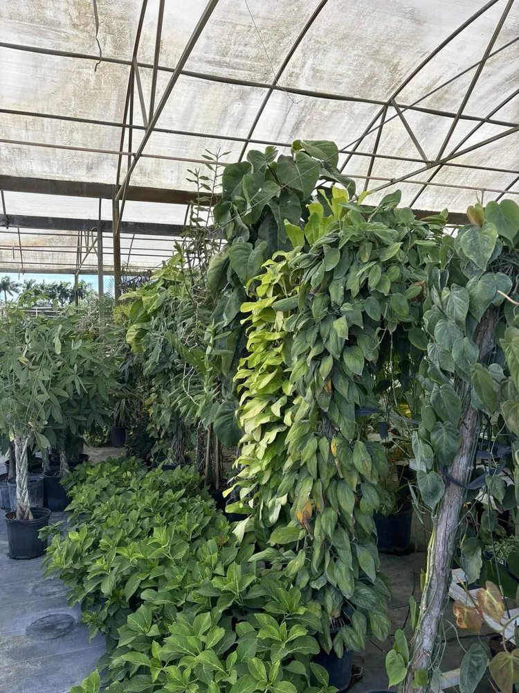 Reliable garden landscaping for outdoor upgrades across Miami, FL - Action Sod & Landscape Gardens