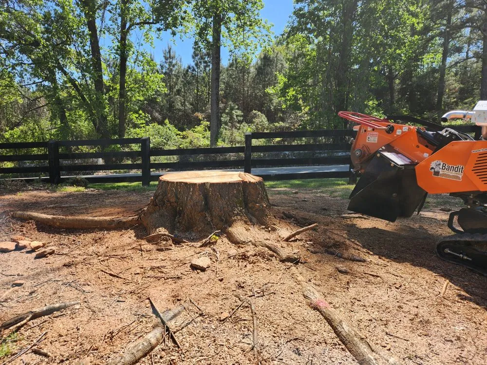 Affordable landscape design experts serving Cumming, GA - Action Stump Grinding