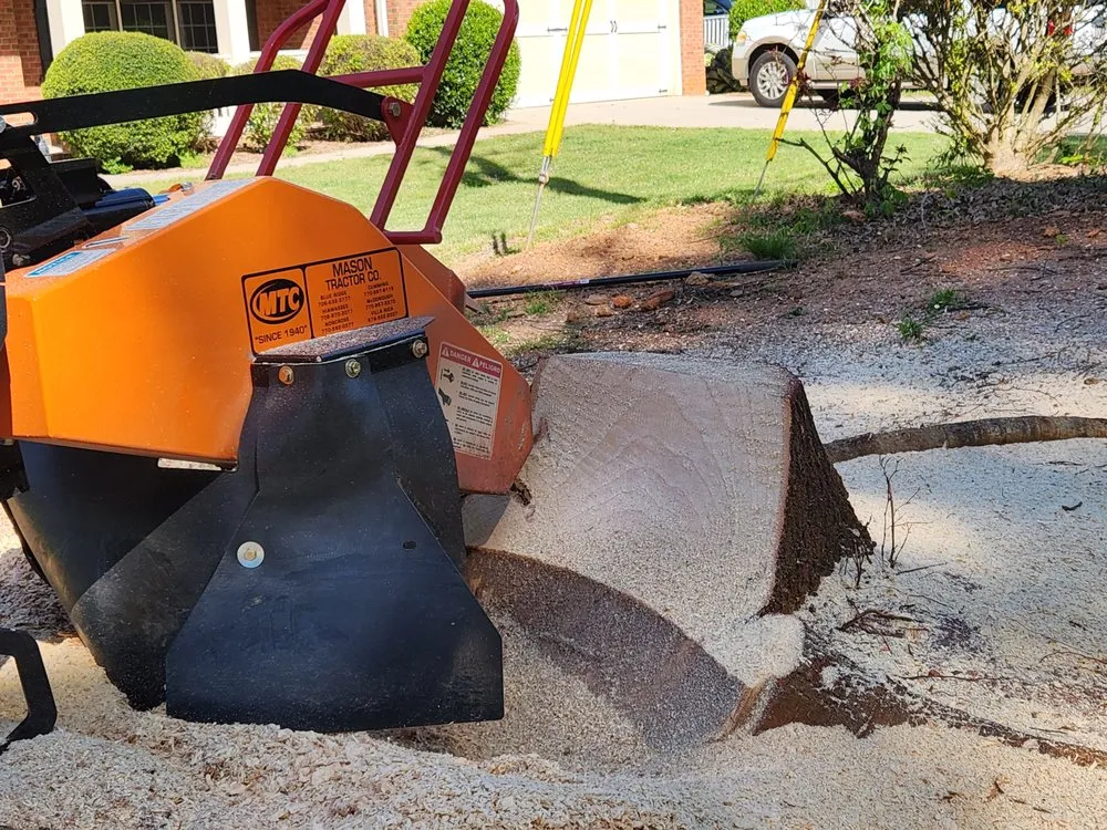Local landscape installation in Cumming, GA by Action Stump Grinding