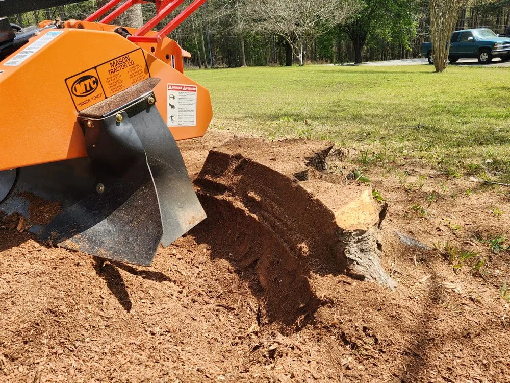 Expert outdoor landscaping experts serving Cumming, GA - Action Stump Grinding
